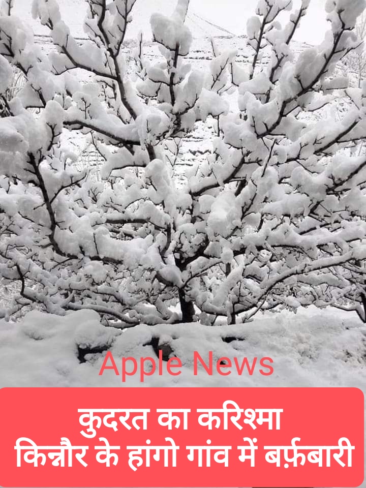 कुदरत का करिश्मा- 20 अप्रैल, 2023 को किन्नौर जिले के हांगो गांव में बर्फ़बारी का नज़ारा देख गर्मी में आई सर्दियों की याद