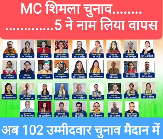 MC शिमला चुनाव-5 ने नाम लिया वापस, अब 102 उम्मीदवार चुनाव मैदान में, जानें किस वार्ड से कौन…!