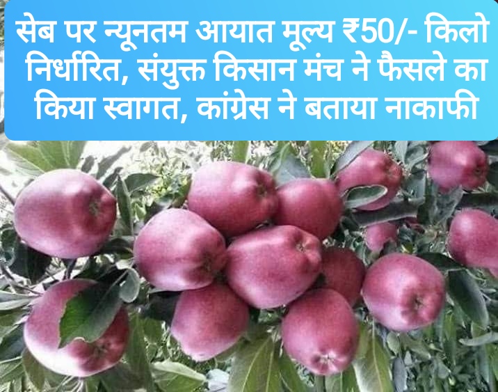 सेब पर न्यूनतम आयात मूल्य ₹50/- किलो निर्धारित, संयुक्त किसान मंच ने फैसले का किया स्वागत, कांग्रेस ने बताया नाकाफी