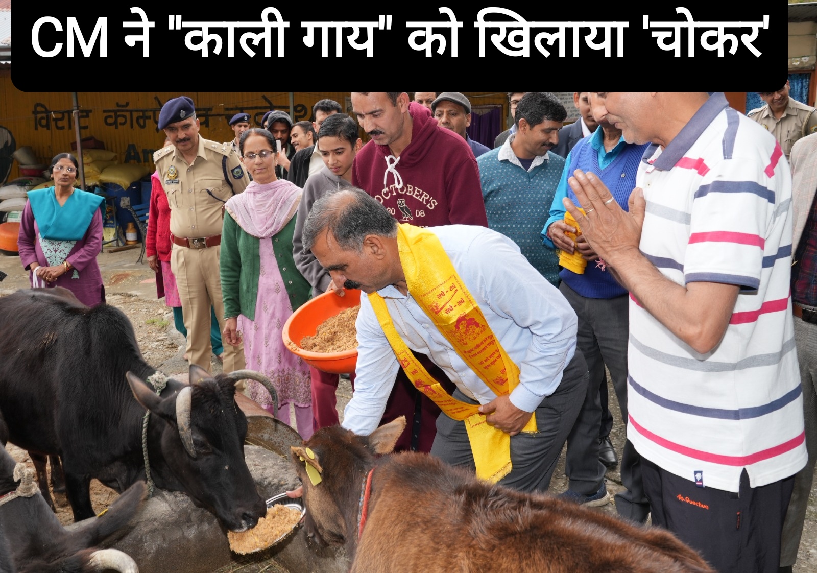 CM सुक्खू ने “काली गाय” को खिलाया ‘चोकर’, टूटू में श्री कामनापूर्ण गौशाला का किया निरीक्षण