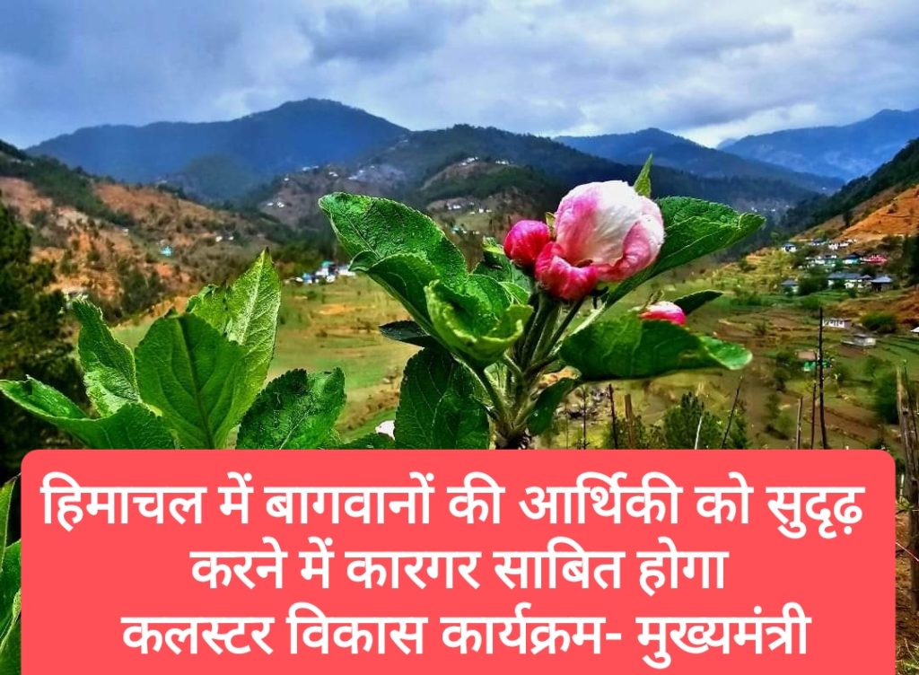 हिमाचल में बागवानों की आर्थिकी को सुदृढ़ करने में कारगर साबित होगा कलस्टर विकास कार्यक्रम- मुख्यमंत्री