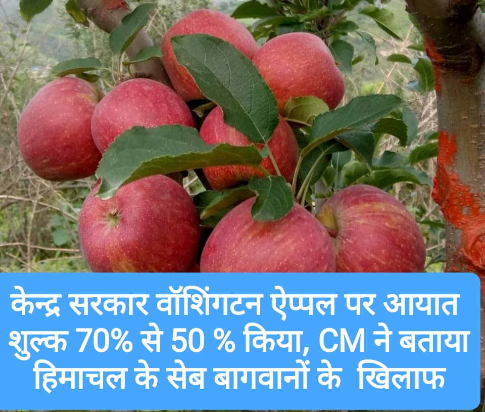केन्द्र सरकार वॉशिंगटन ऐप्पल पर आयात शुल्क 70% से घटाकर 50 % किया, CM ने बताया हिमाचल के सेब बागवानों के हितों के खिलाफ