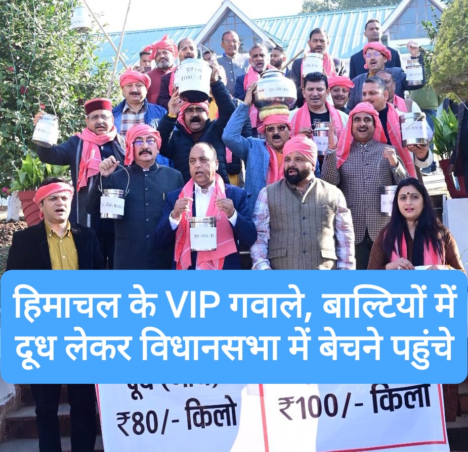 हिमाचल के VIP गवाले, बाल्टियों में दूध लेकर विधानसभा में 100 रुपये लीटर बेचने पहुंचे
