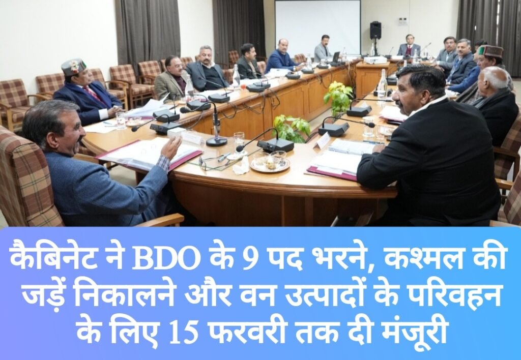 कैबिनेट ने BDO के 9 पद भरने, कश्मल की जड़ें निकालने और वन उत्पादों के परिवहन के लिए 15 फरवरी तक दी मंजूरी