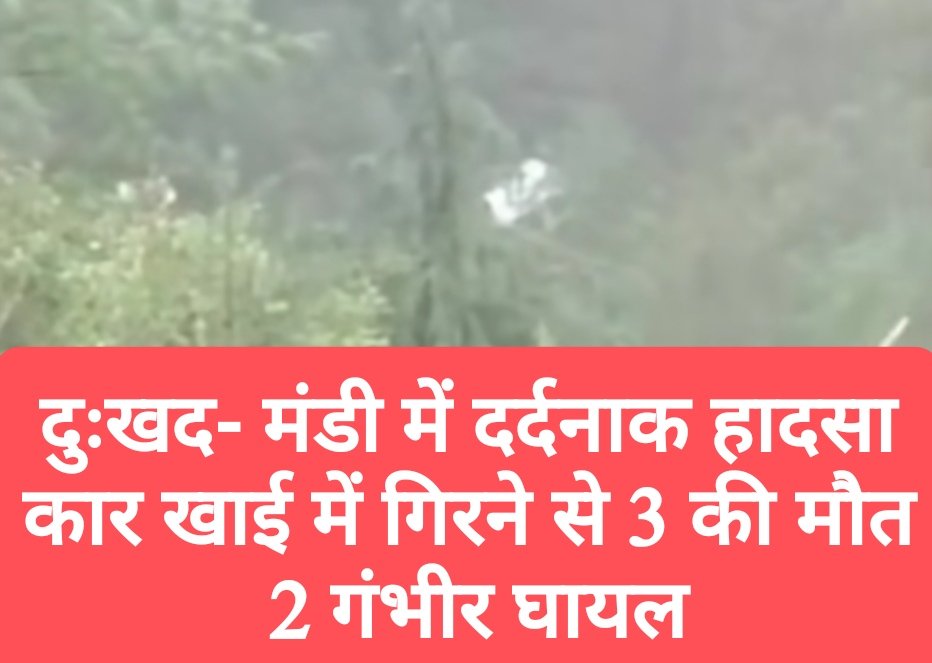 दुःखद- मंडी में दर्दनाक हादसा, कार खाई में गिरने से 3 की मौत, 2 गंभीर घायल