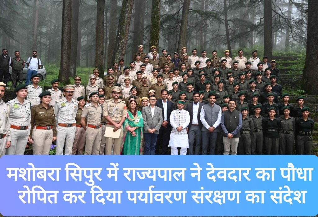 मशोबरा के सिपुर में राज्यपाल ने देवदार का पौधा रोपित कर दिया पर्यावरण संरक्षण का संदेश