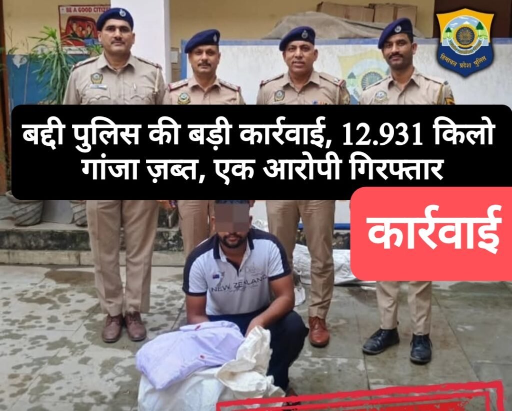 बद्दी पुलिस की बड़ी कार्रवाई, 12.931 किलो गांजा ज़ब्त, एक आरोपी गिरफ्तार