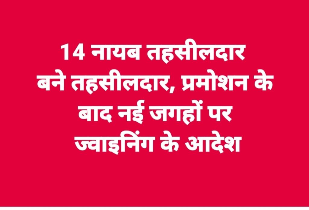 14 नायब तहसीलदार बने तहसीलदार, प्रमोशन के बाद नई जगहों पर ज्वाइनिंग के आदेश