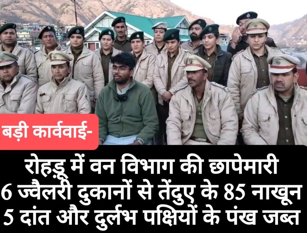 रोहड़ू में वन विभाग की छापेमारी, 6 ज्वैलरी दुकानों से तेंदुए के 85 नाखून, 5 दांत और दुर्लभ पक्षियों के पंख जब्त
