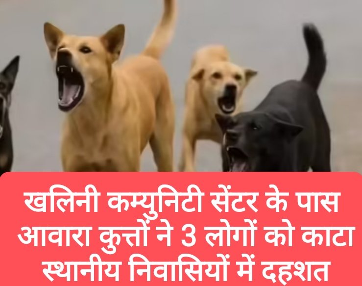 खलिनी कम्युनिटी सेंटर के पास आक्रामक कुत्तों ने 3 लोगों को काटा, स्थानीय निवासियों में दहशत