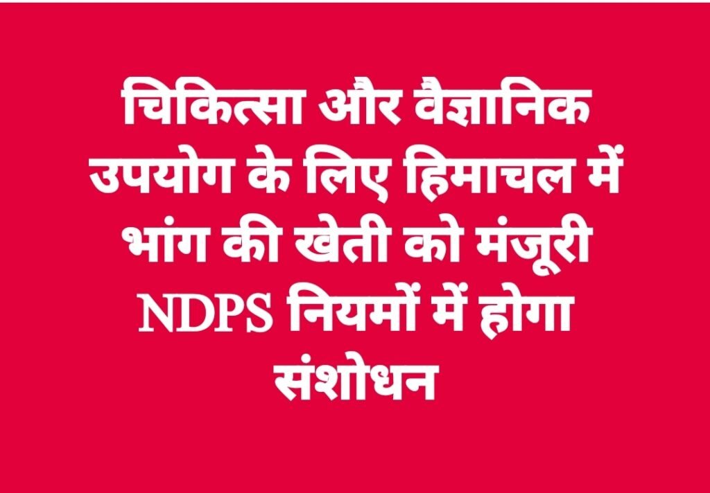 चिकित्सा और वैज्ञानिक उपयोग के लिए हिमाचल मेंभांग की खेती को मंजूरी, NDPS नियमों में होगा संशोधन