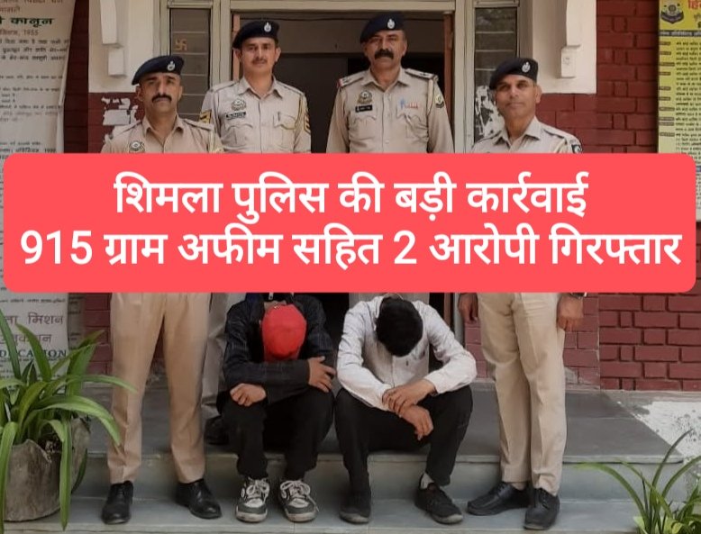 नशा तस्करों पर शिमला पुलिस की बड़ी कार्रवाई, 915 ग्राम अफीम सहित 2 आरोपी गिरफ्तार