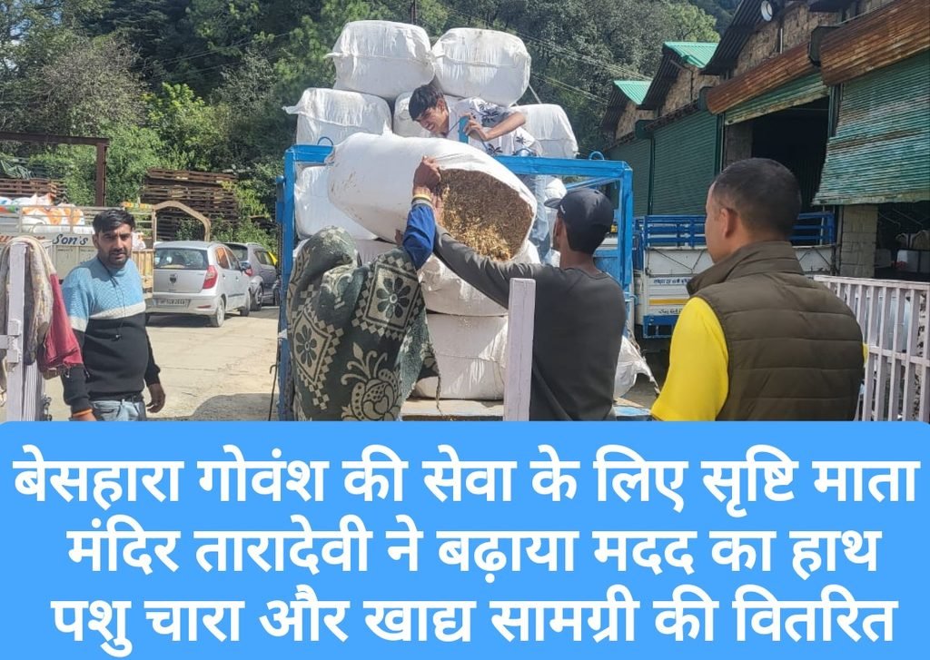 बेसहारा गोवंश की सेवा के लिए सृष्टि माता मंदिर तारादेवी ने बढ़ाया मदद का हाथ, पशु चारा और खाद्य सामग्री की वितरित
