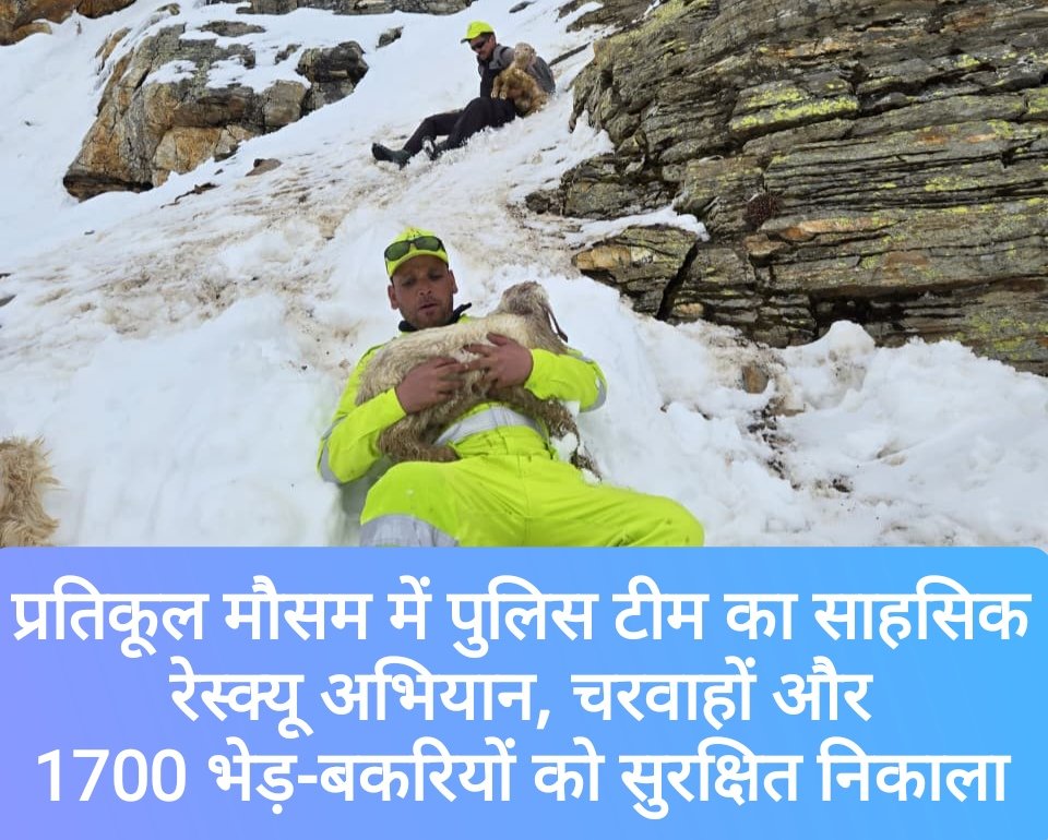 प्रतिकूल मौसम में पुलिस टीम का साहसिक रेस्क्यू अभियान, चरवाहों और 1700 भेड़-बकरियों को सुरक्षित निकाला